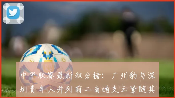 中甲联赛最新积分榜：广州豹与深圳青年人并列前二南通支云紧随其后