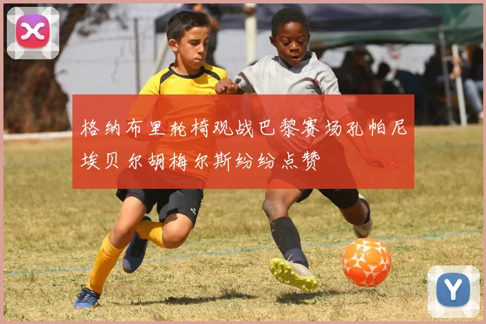 格纳布里轮椅观战巴黎赛场孔帕尼埃贝尔胡梅尔斯纷纷点赞